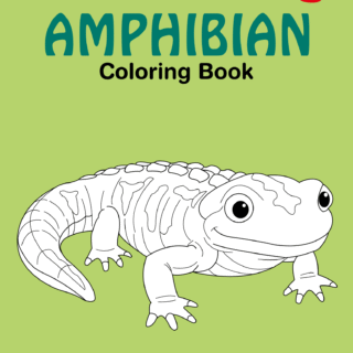 Amphibian Coloring Book