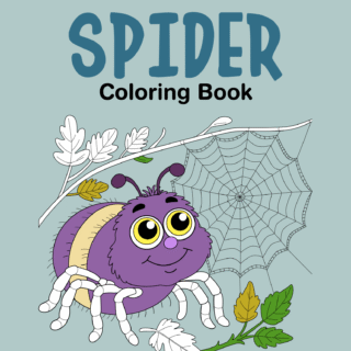 Spider Coloring Book