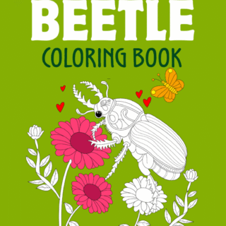 Beetle Coloring Book
