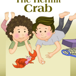 HECTOR THE HERMIT CRAB Story Book