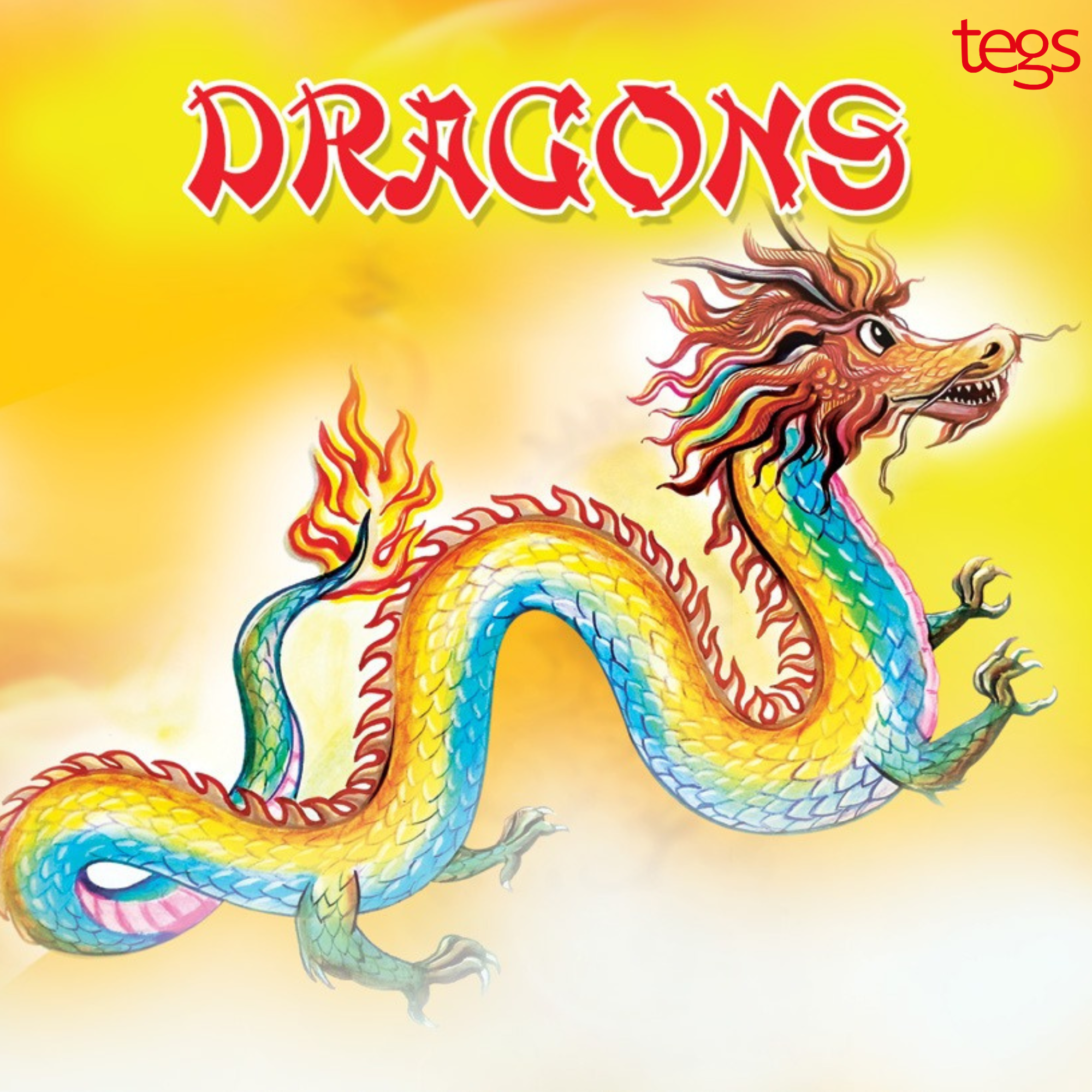 DRAGONS Story Book