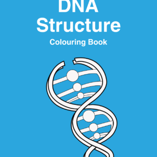 DNA Structure Coloring Book