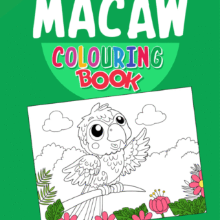 Macaw Coloring Book