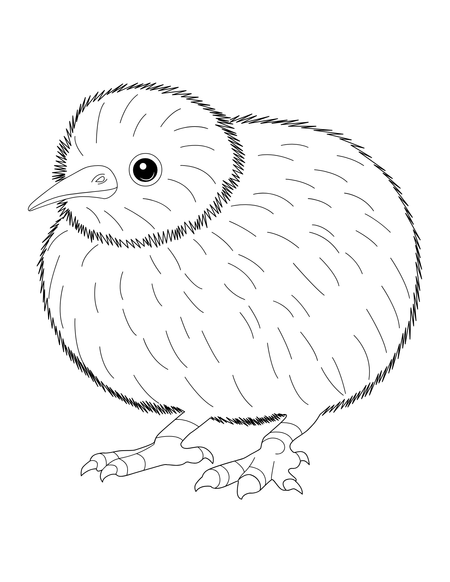 Birds Coloring Book - Image 3
