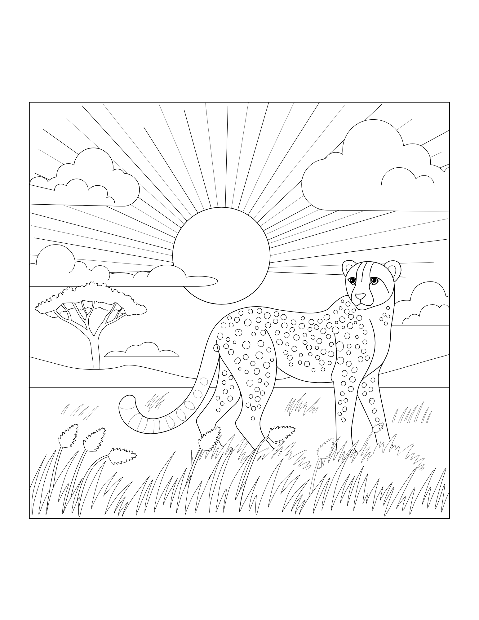 Cheetah Coloring Book - Image 3