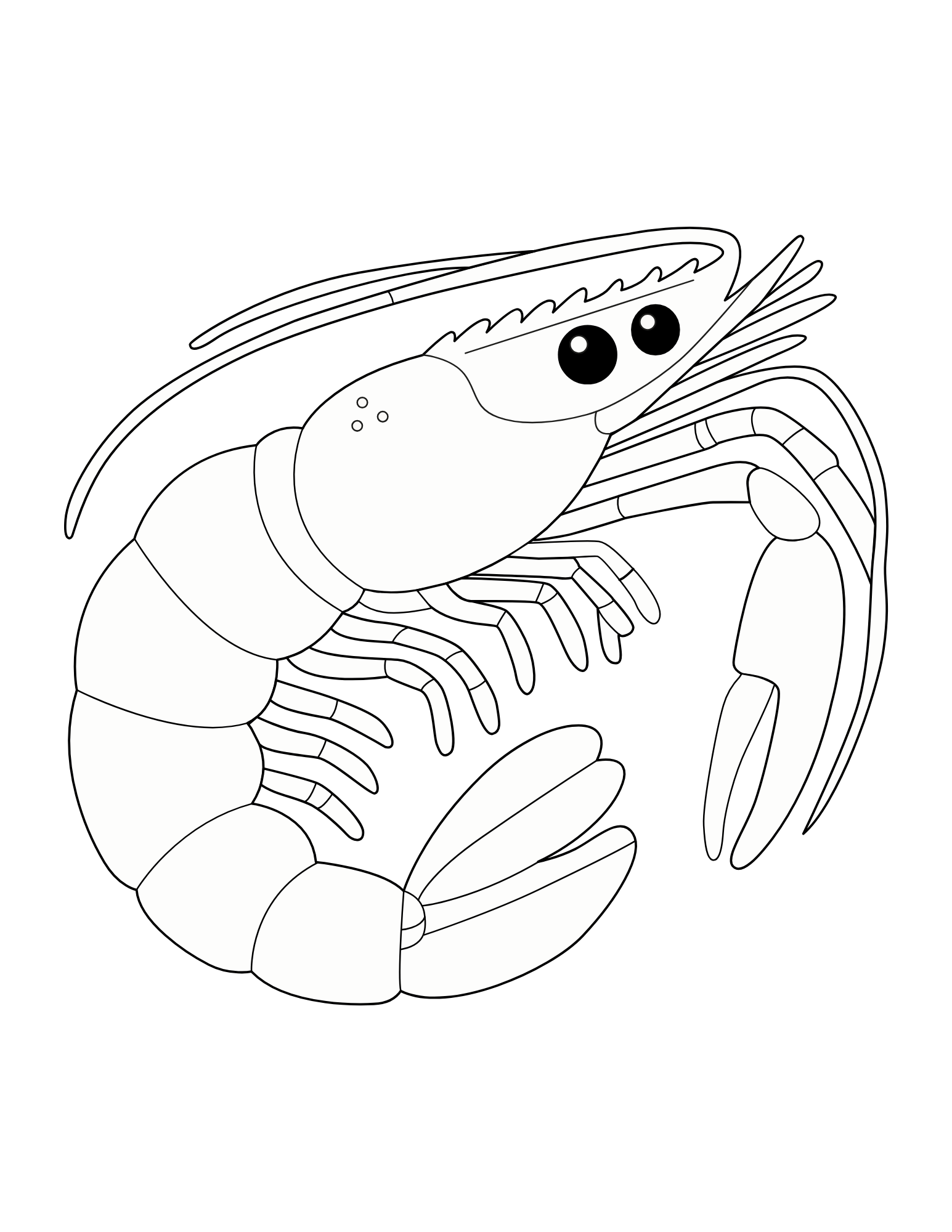 Aquatic Animal Coloring Book - Image 4
