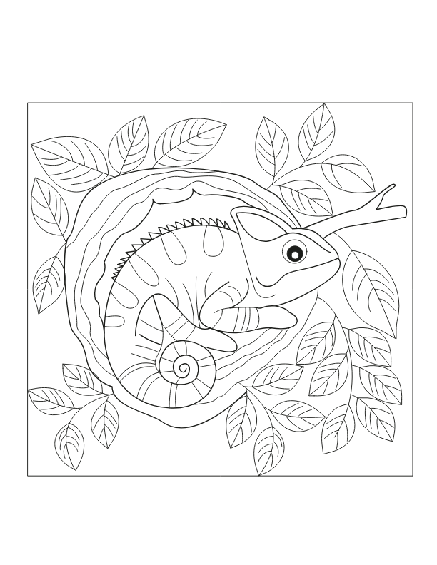 Chameleons Coloring Book - Image 4