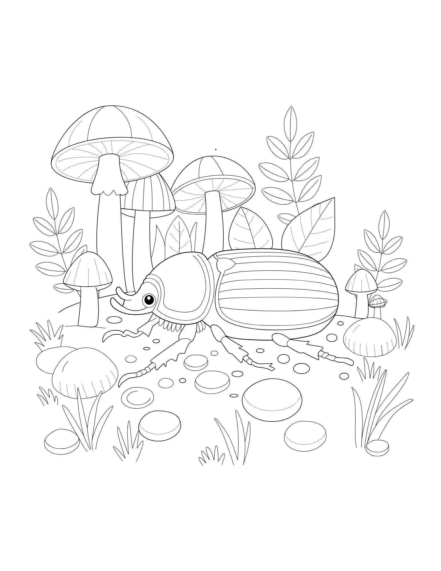 Beetle Coloring Book - Image 2