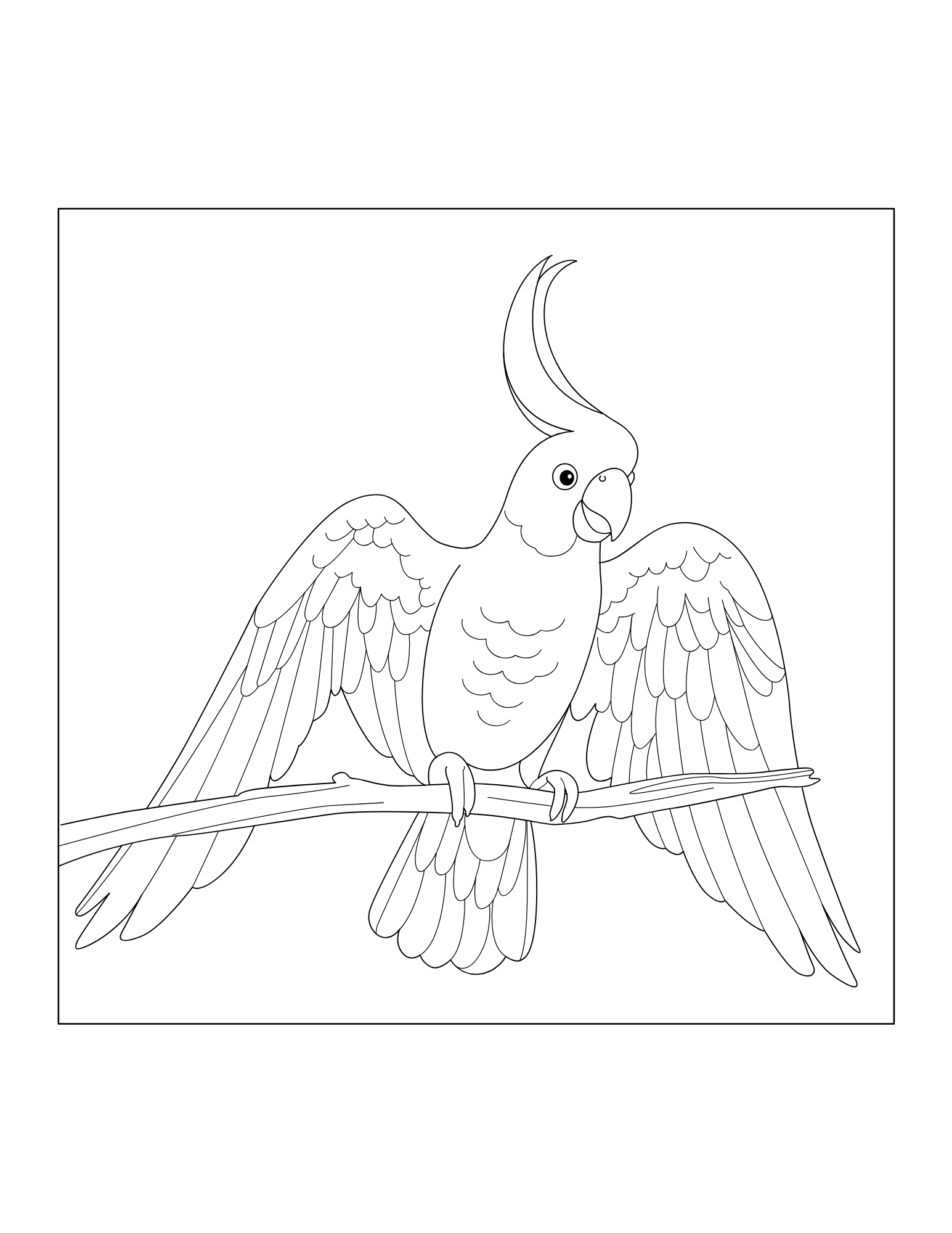 Cockatoos Coloring Book - Image 2