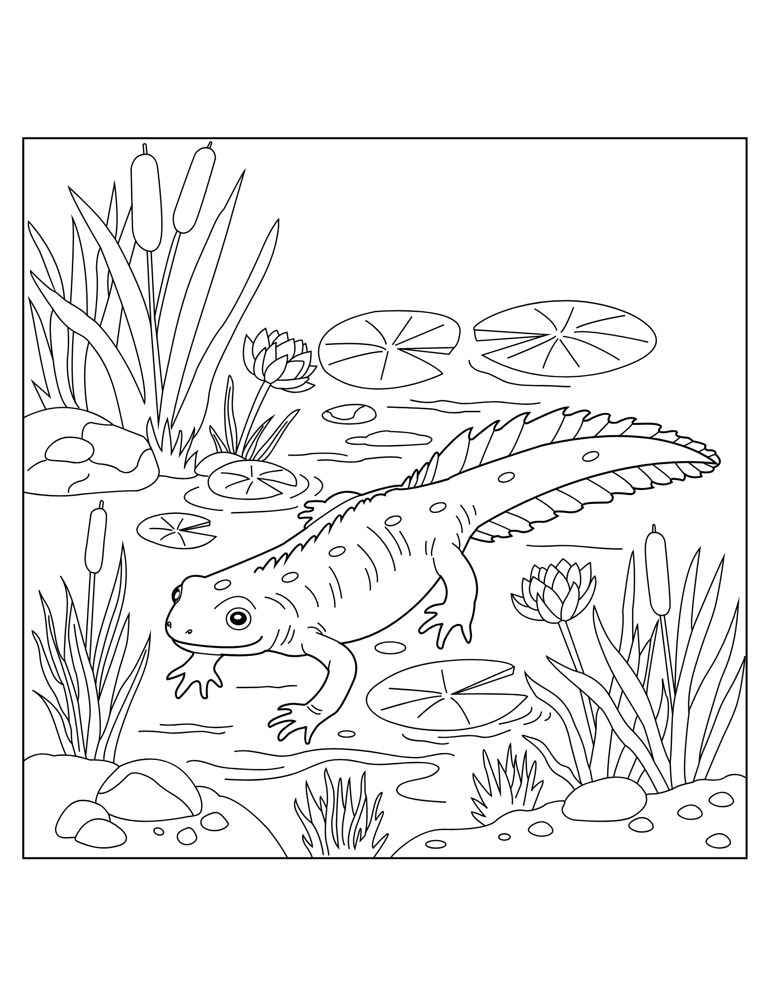 Amphibian Coloring Book - Image 3