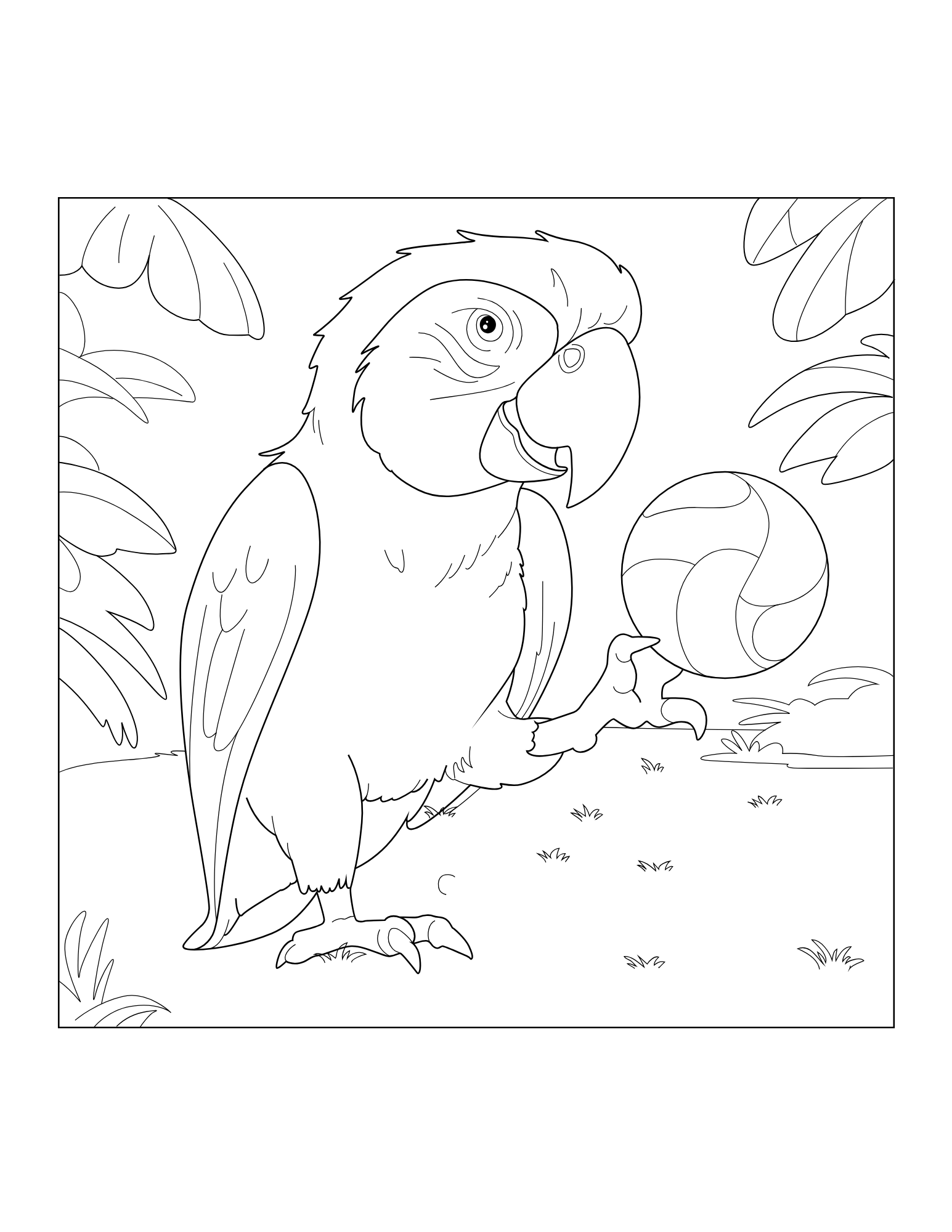 Macaw Coloring Book - Image 3