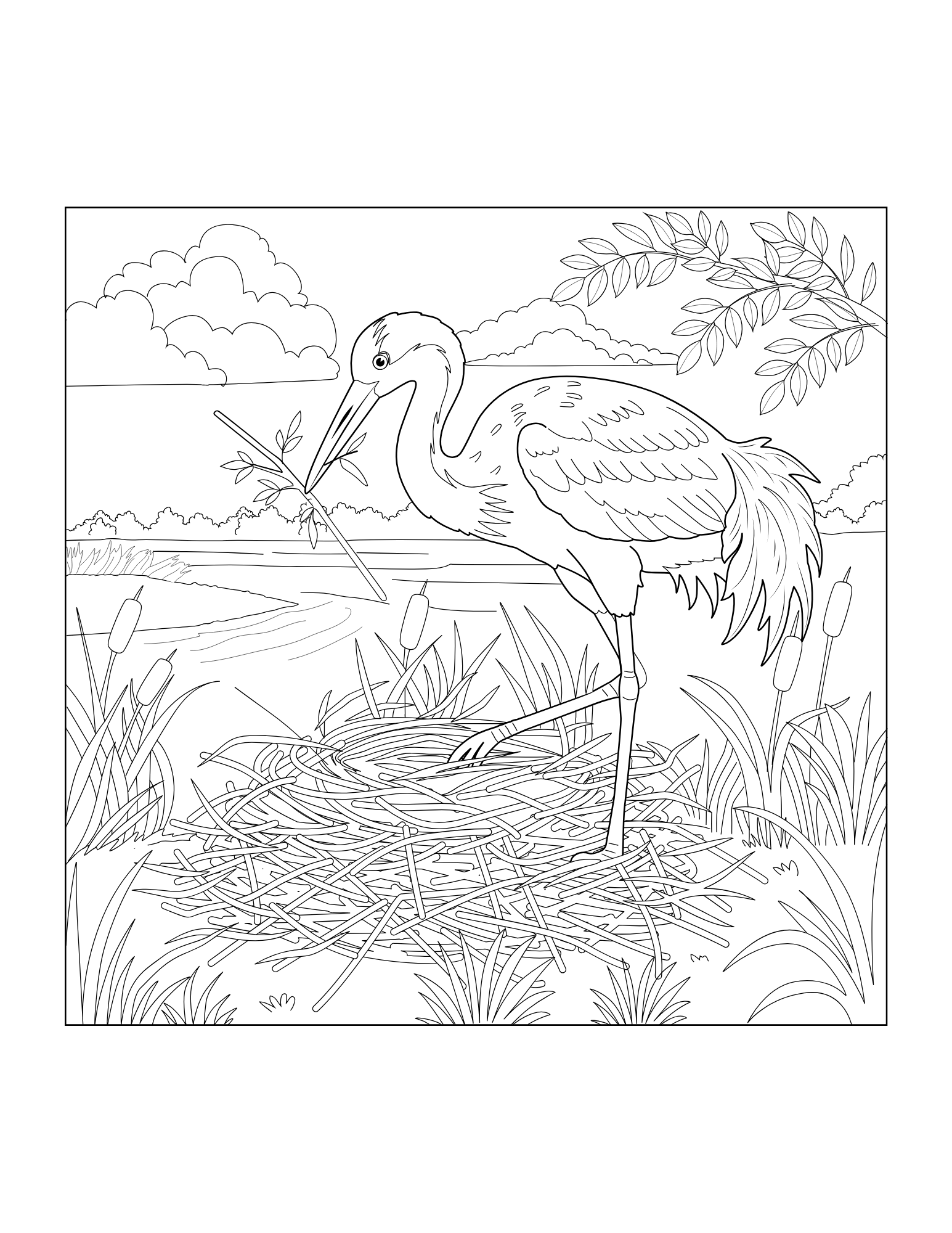 Crane Coloring Book - Image 2