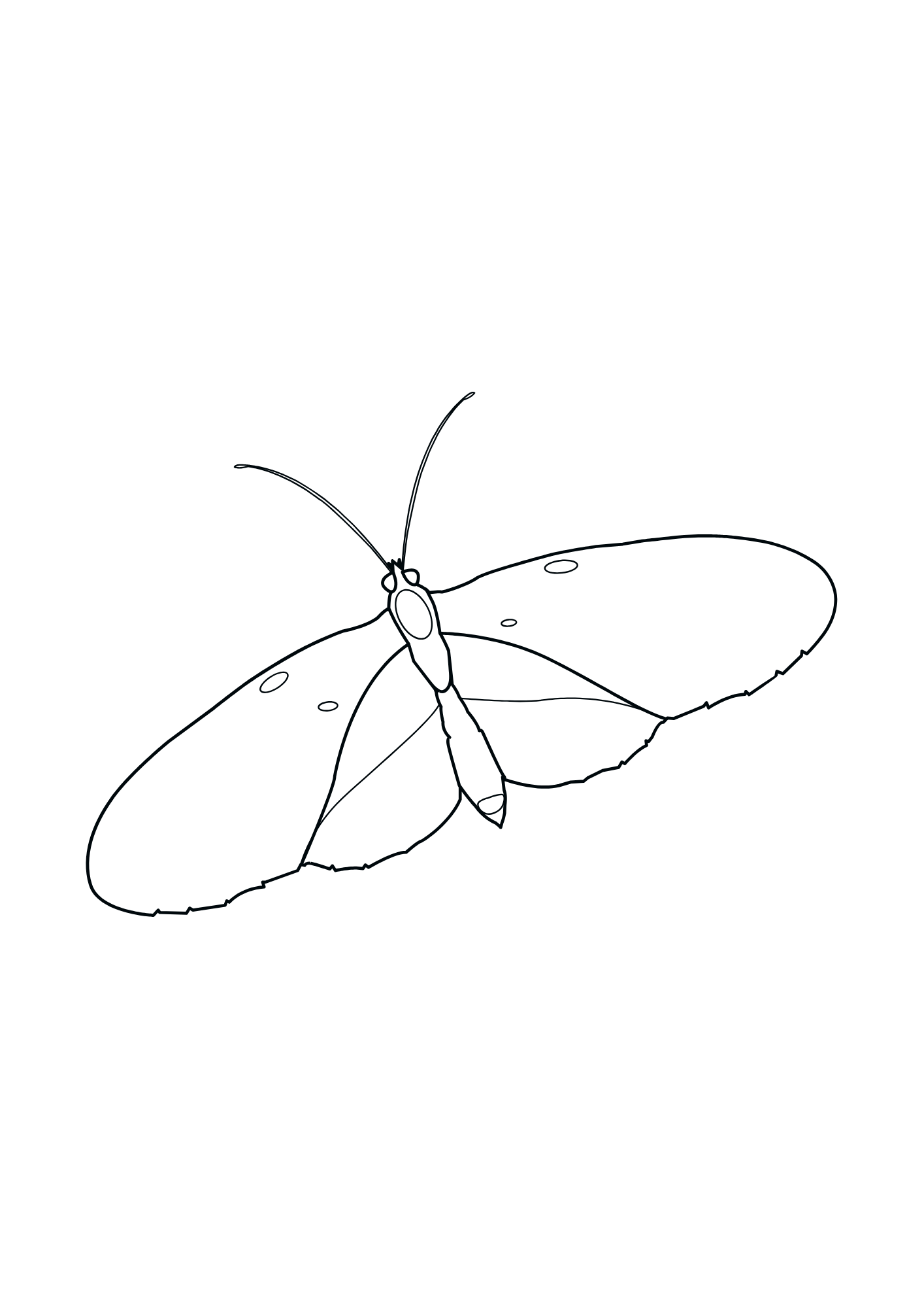 Butterfly Coloring Book - Image 3