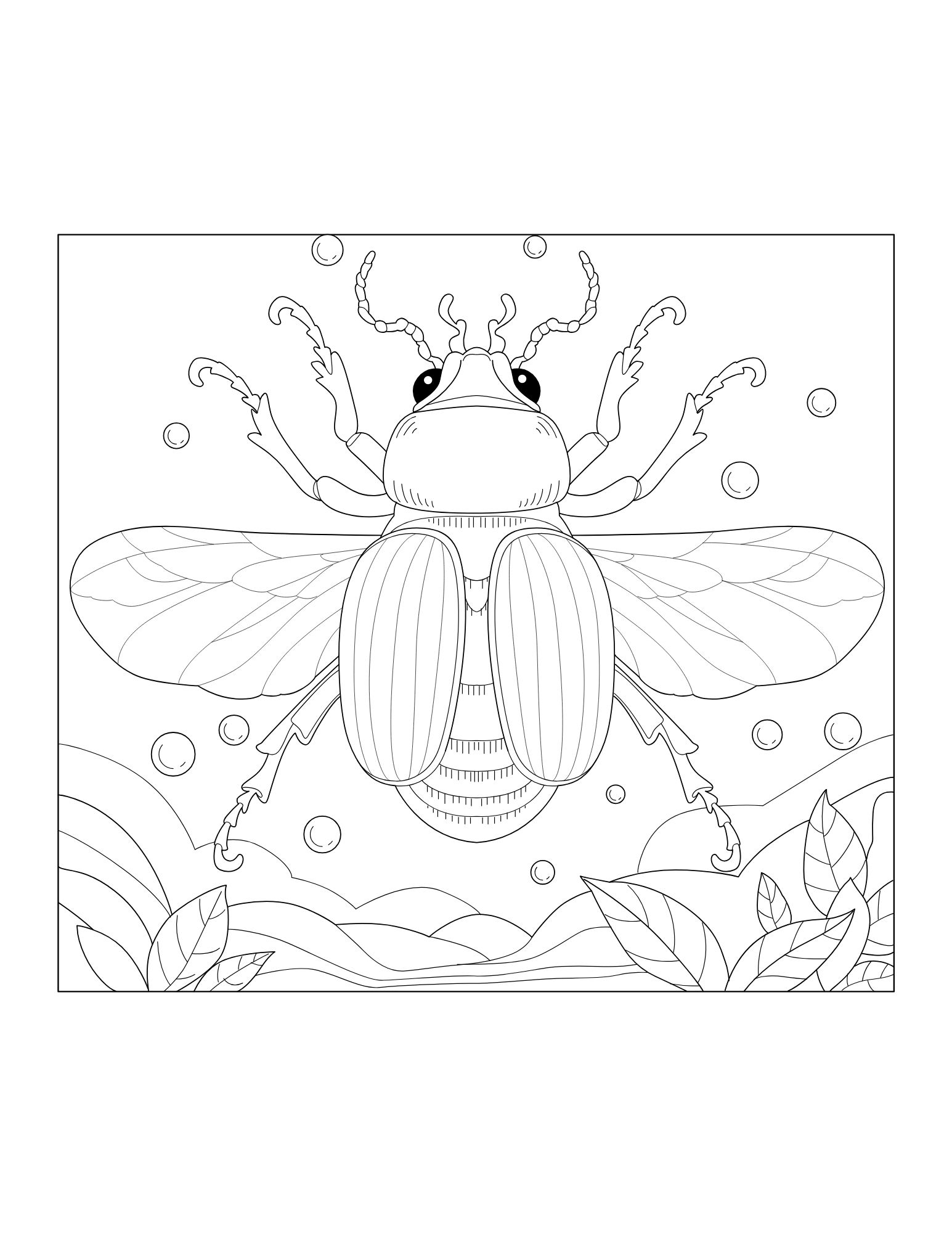 Beetle Coloring Book - Image 3