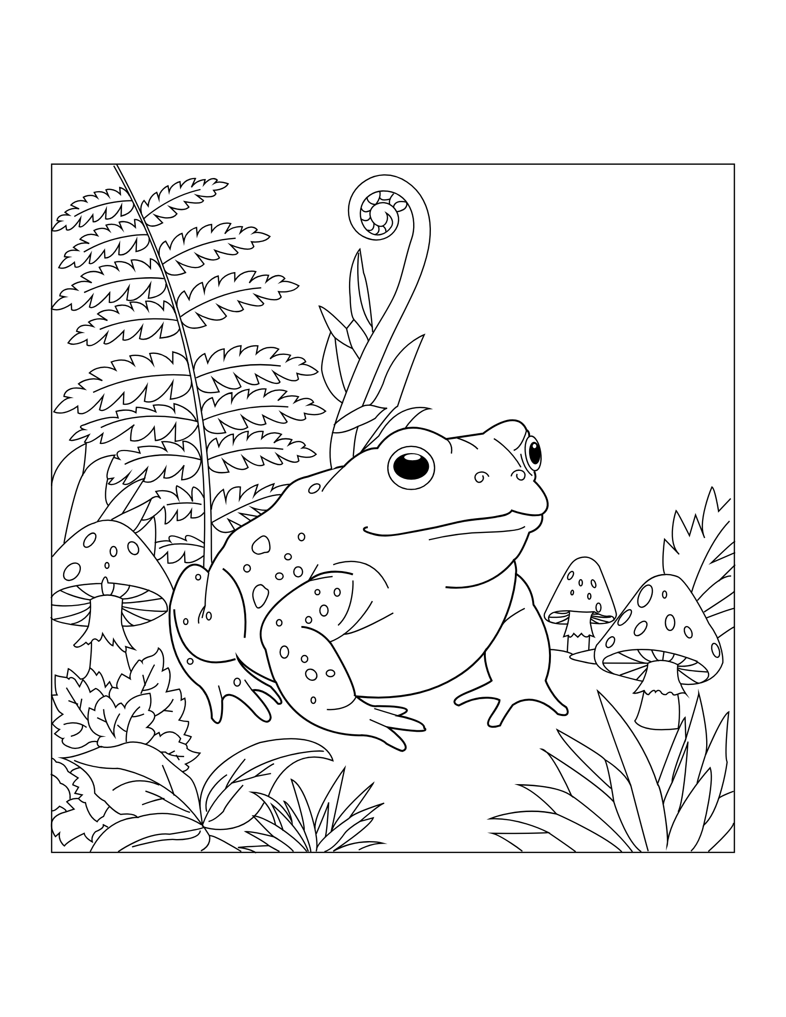 Amphibian Coloring Book - Image 4