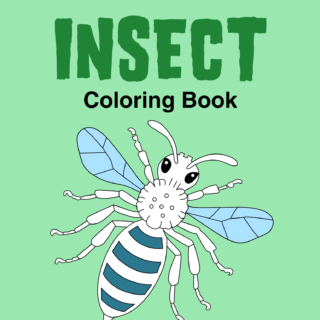 Insect Coloring Book