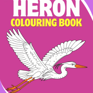 Heron Coloring Book