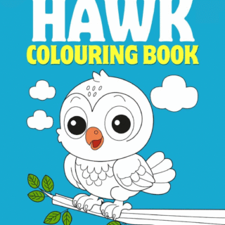 Hawk Coloring Book