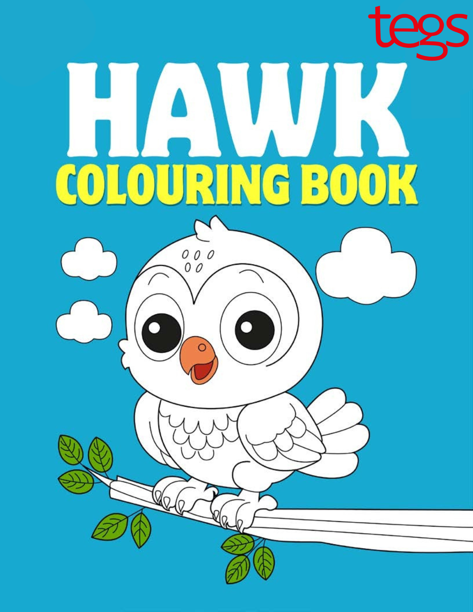 Hawk Coloring Book