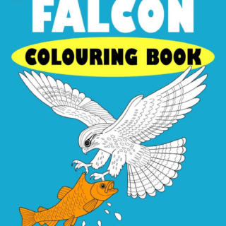 Falcon Coloring Book