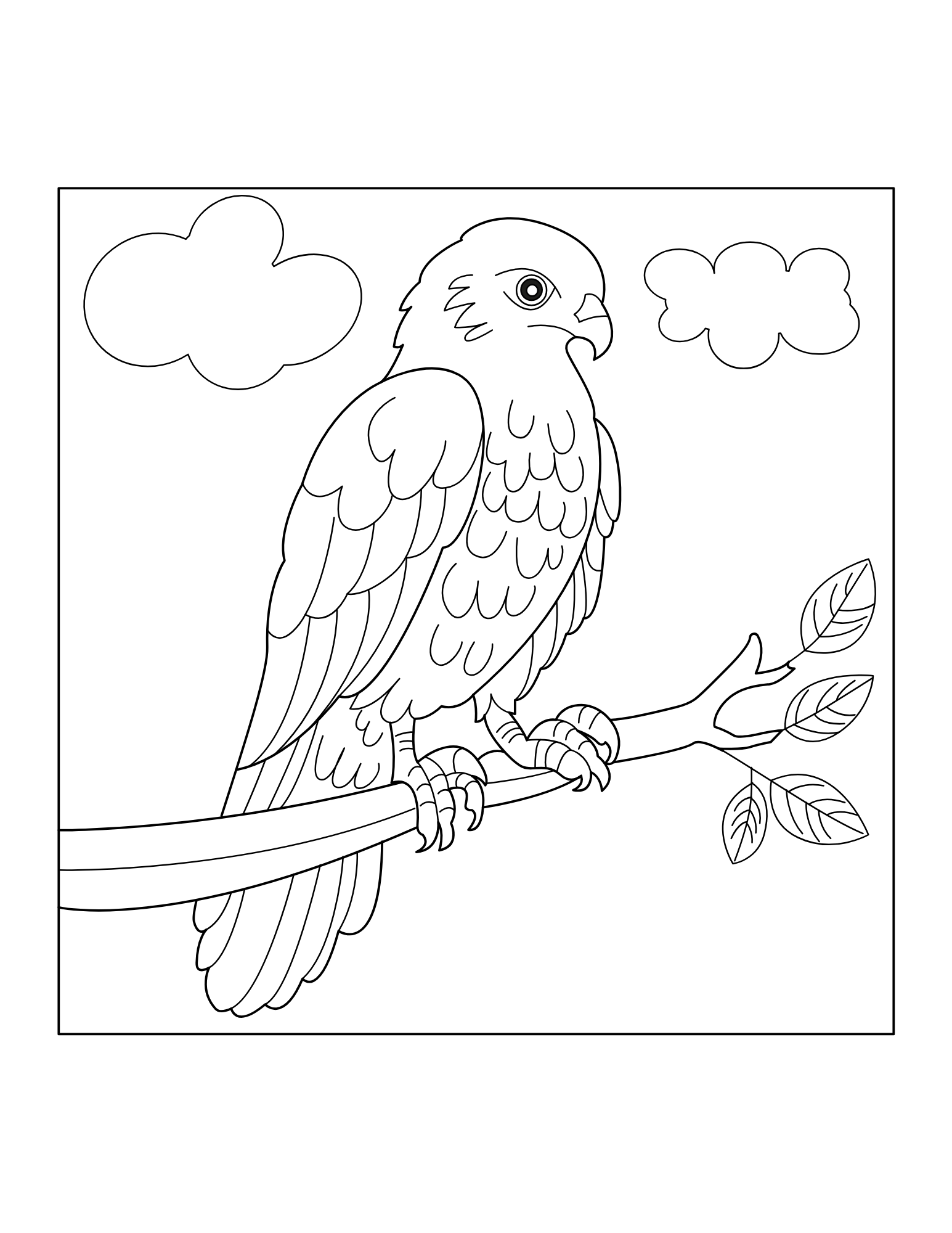 Hawk Coloring Book - Image 2