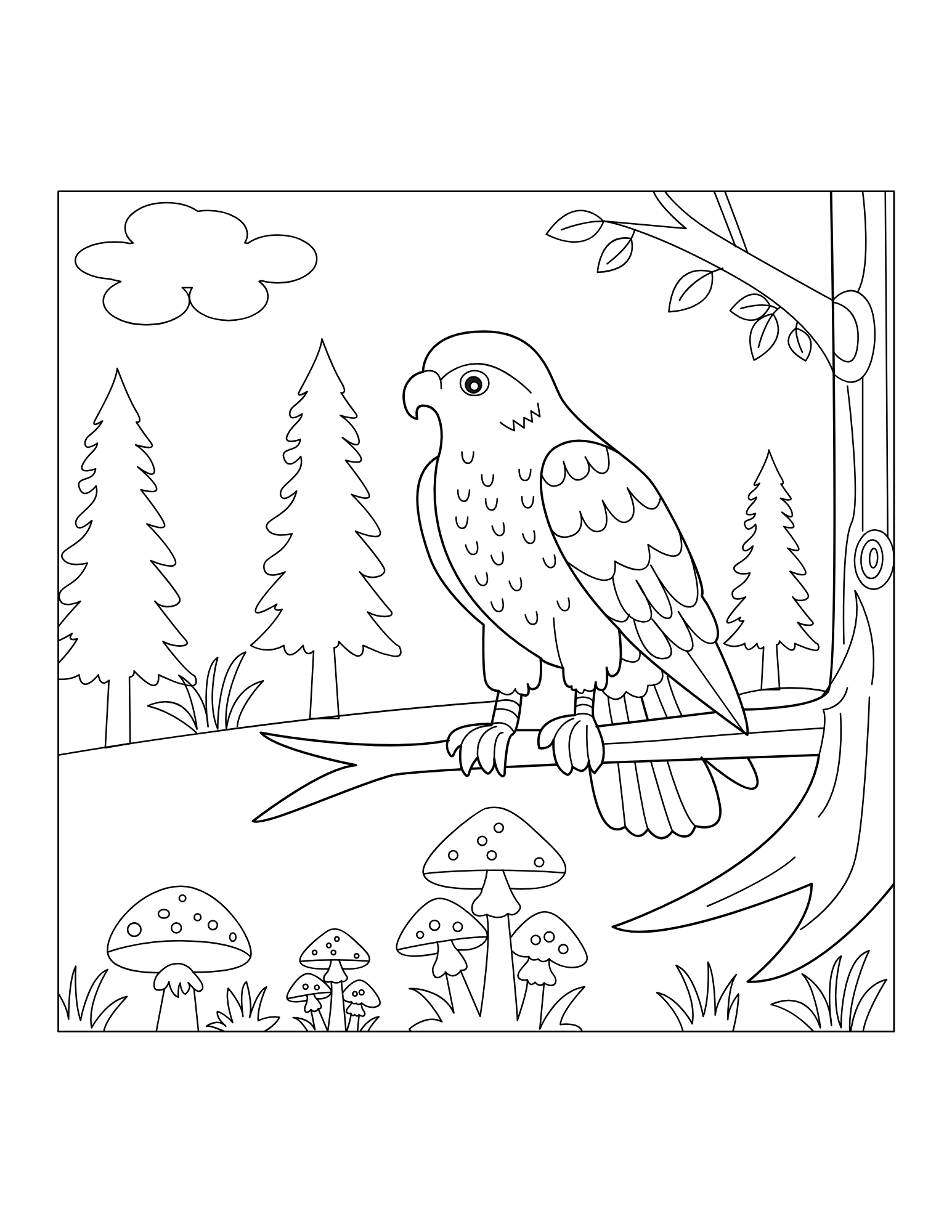 Hawk Coloring Book - Image 3